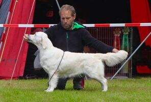 Junior German Winner 2016 Doris Day Oligarchia Junior German Winner 2016 Doris Day Oligarchia
