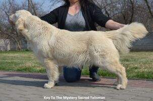 Key To The Mystery Sacred Talisman Key To The Mystery Sacred Talisman
