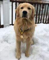 Royal River's East Millinocket Beau