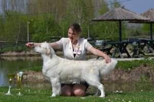 Fianna Of Golden Duck Fianna Of Golden Duck