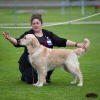 Neuter Champion Savaneta Light The Way (AI) RN TK.S