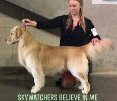 Skywatcher's Believe In Me BN RM BCAT SWN SCA SHDN CCA CGCA CGCU TKA VHMA VSWB FitG