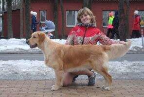 RU New Sunny Cerellya