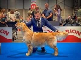 PT & CER Grey Goose Seda y Hierro RCC CRUFTS '20