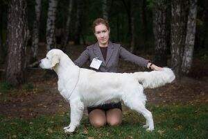 Slav Trophy Mandragora's Root Slav Trophy Mandragora's Root