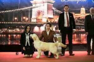 Bonett Bride Irish Sea Middle East Junior EU Winner Jugend