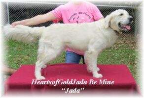 Heartsofgold Jada Be Mine