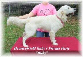 Heartsofgold Ruby's Private Party