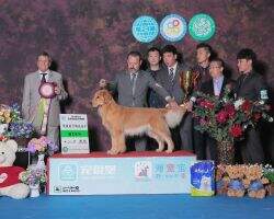 CN CH Eternal sunshine of championship kennel