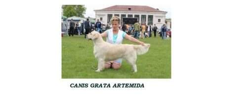 RUS BLR CH RUS CH BLR Canis Grata Artemida
