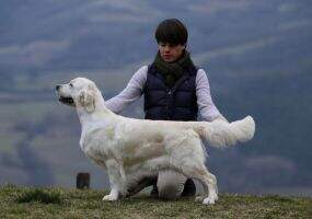 Xanthos Olvinglay Xanthos Olvinglay
