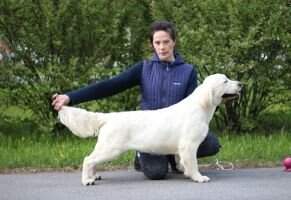 JChCLUB, JChRus,ChCLUB, Ch RKF, Ch Rus, Grand RUS PEKOS FIRST LADY