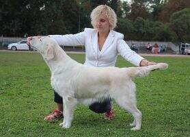 Ua Arma (Zhak x Amely)