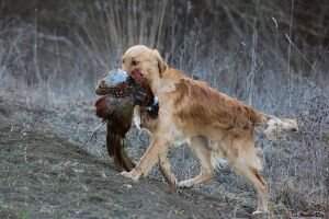 Think Twice Something Special Think Twice Something Special