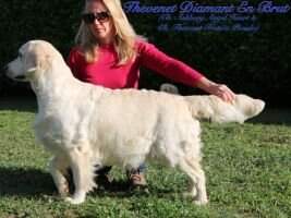 Thevenet Diamant en Brut