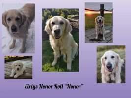 Eirlys Honor Roll