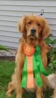 HR Duck Creek Bird Blitzin' Buster