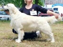 CH,JunCh,JunSpecialty Winner Swanavly By Design CH,JunCh,JunSpecialty Winner Swanavly By Design