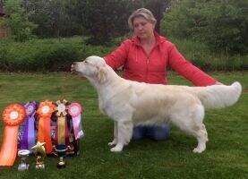 C.I.E.& C.I.B.INT.CH CH.RKF/CLUB BALTIC WINNER CH.RUS/ARM/GEO/MONT/YUG/RKS RUS/CLUB. CHEVYS SMILE LUIZIANA