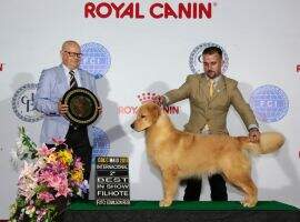 Golden Trip Bulgari Tks a Million