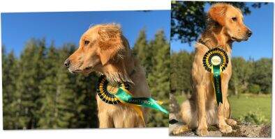 J LP1 LD1 Beaworthy Vidia J LP1 LD1 Beaworthy Vidia