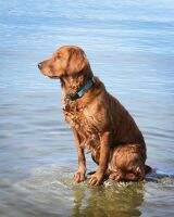 Semper Skyriver Leigh Ocean TKI BN