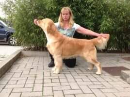 Double Willow Schuschu Double Willow Schuschu
