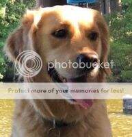 Denali's Princess Grace Denali's Princess Grace