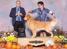 Liberty Lionswatch Kentucky Bourbon Over Ice CCA RATN TKN BOSS