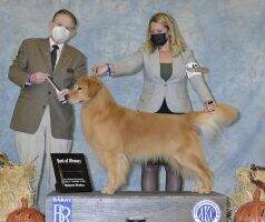& Mtn. View's Justice Is Served BN RI TKI FITS & Mtn. View's Justice Is Served BN RI TKI FITS
