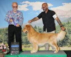 Masters Teko Live Long And Paws Per Masters Teko Live Long And Paws Per