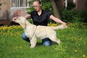 Tomiriel DAKOTA Tomiriel DAKOTA