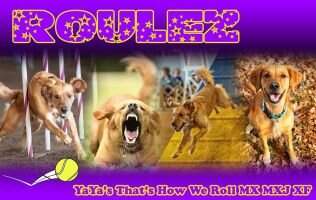 YaYa's That's How We Roll MXF