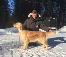 Goldfellow Madaddiction