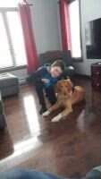 PGOLD CODY