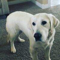 Miss Bailey Of The Springsatsaratoga