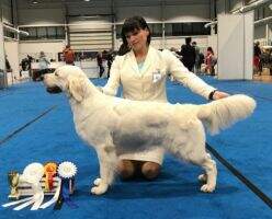CH CH RU CH EST CH MLD CH BY CH BREED BY CH GRAND BY WINNER 2019 BY BY AFINA LENARI GOLD