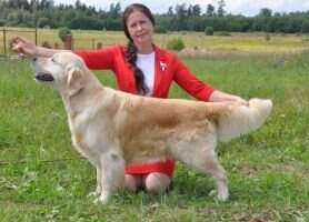 RUS CLUB CH RUS CH CLUB CH RKF GRAND CH RUS LADIOLLY VUSTERSHIR