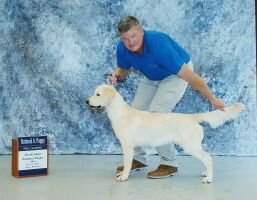 Nat. JR. / JR. Yella Dog's Princess Lucy