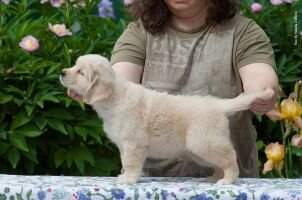 Tramin Easy Wind Tramin Easy Wind