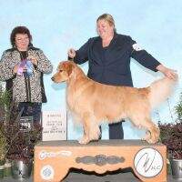UKC CH Maple's Fair-Haired Warrior CCA BN RA TKI RATI