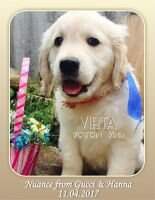 VIRTA WESTERN WIND VIRTA WESTERN WIND