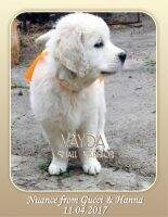 VAYDA SMALL WARRIOR VAYDA SMALL WARRIOR