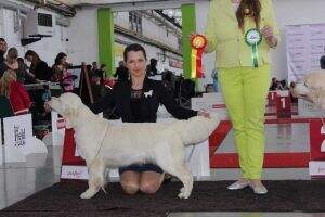 JChEst JChLV JChLt Balt LT&EST CH Riera Jewel of the Crown