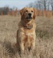 Topbrass Sky Watcher