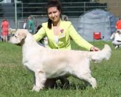 Inter.Ch Ch.Blr Ch.Ltu JChRus JChEst ChRKF ClubChRus Grand CW/R.CAC WDS 2015 SHAI-LEE MALENKAYA FEYA Inter.Ch Ch.Blr Ch.Ltu JChRus JChEst ChRKF ClubChRus Grand CW/R.CAC WDS 2015 SHAI-LEE MALENKAYA FEYA