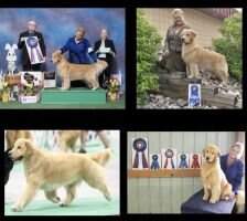 MBISS GRCHS Summits I Cry If I Want To