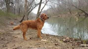 Arkansas River Red Hot Ember
