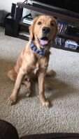 Denver Bowker Patterson