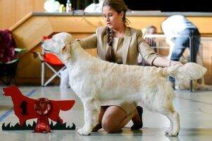 C.I.B. C.I.E. German Winner '19 Antoinette Camian's 'U' Alpen-Jugendsieger 2018 Baden-Württemberg 2018 Czech Club Winner 2019 C.I.B. C.I.E. German Winner '19 Antoinette Camian's 'U' Alpen-Jugendsieger 2018 Baden-Württemberg 2018 Czech Club Winner 2019
